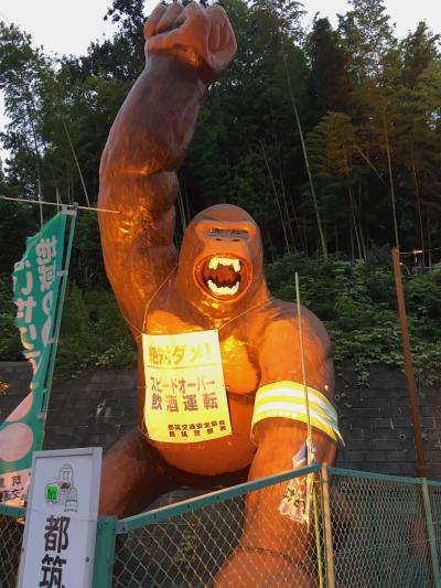 港北ニュータウン・東急バスの旅