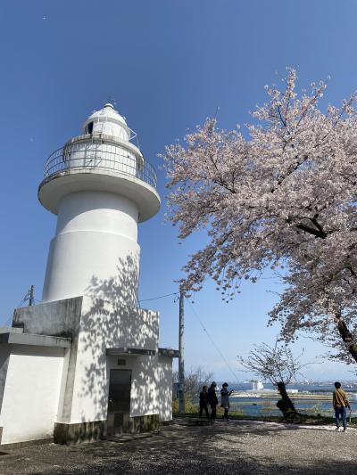 富山の桜。富山県中央植物園＆岩崎ノ鼻灯台