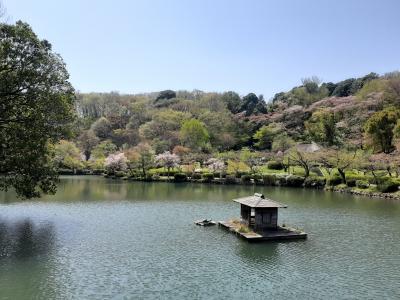 一人歩き・薬師池公園