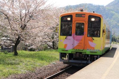 桜吹雪舞う水門川の船下り♪＆谷汲山の桜と電車♪　２日目