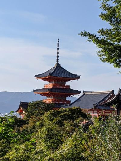 清水寺に到着 「清水寺の不思議」