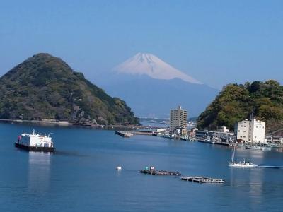 久しぶりの伊豆②お宿♪