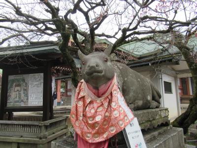 春の京都　嵐山モンキーパークでおサルとのふれあい楽しいな～