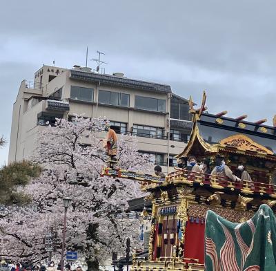 はじめて見た春の高山祭　(1)