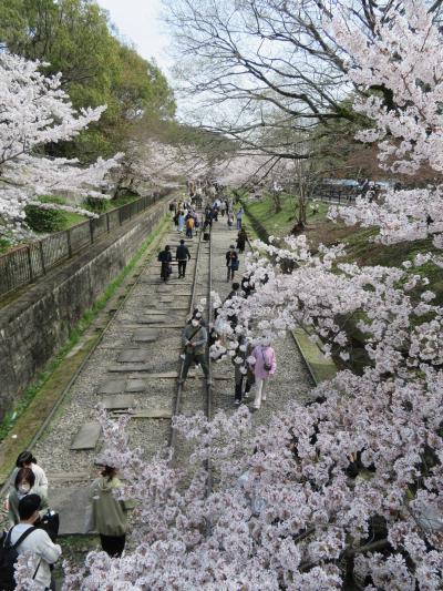 桜と電車　１日目