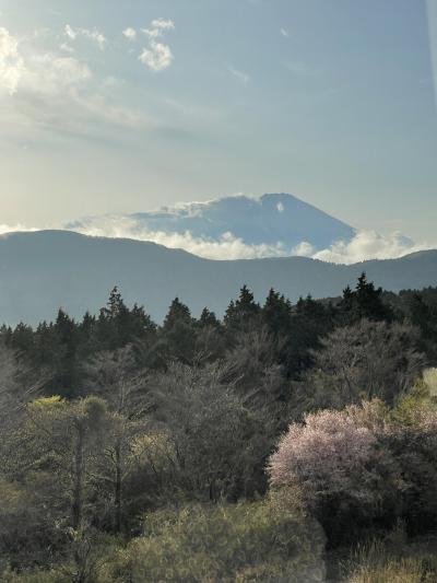 箱根旅行&#12316;四季倶楽部箱根スタイル&#12316;