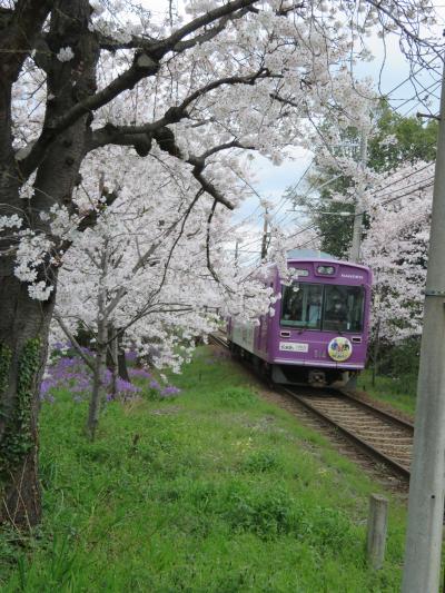  桜と電車　２日目