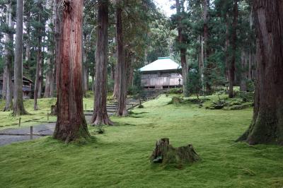 福井旅行2020④（苔に覆われた静かな聖地・勝山市：平泉寺白山神社）