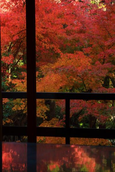 広島・山口　紅葉めぐり～神勝寺、安楽寺、伊藤公記念公園