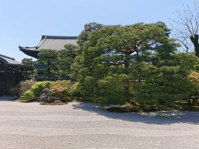 京都市内観光一泊２日親子旅二日目