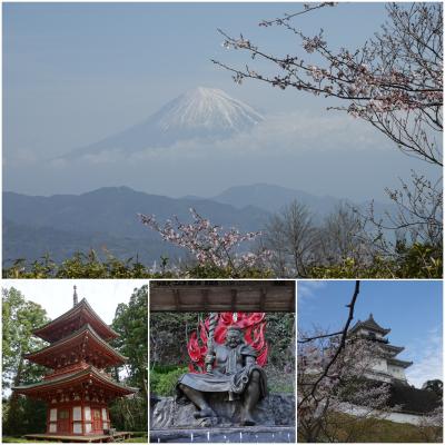 2022 早春 "寺と桜"&"城と桜"求めて - 静岡(遠州)編