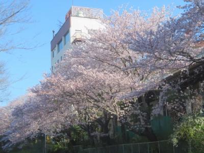 つくば・谷田部の「ニュー梅屋」に宿泊して周辺を散策しました