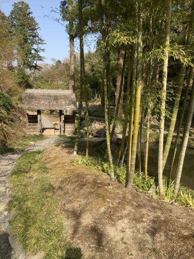 発見 茨城の旅・おそれいりました!