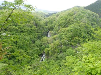 久し振りのキャンプ　日光へ　後編