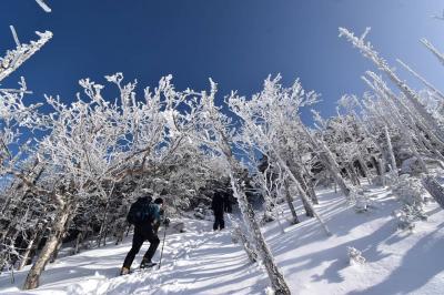 八ヶ岳・蓼科山　日帰り雪山登山