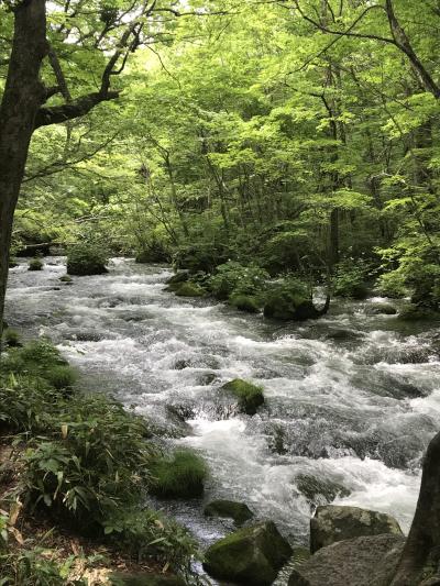 みどりの中をドライブ　ーーー　奥入瀬・竜飛崎