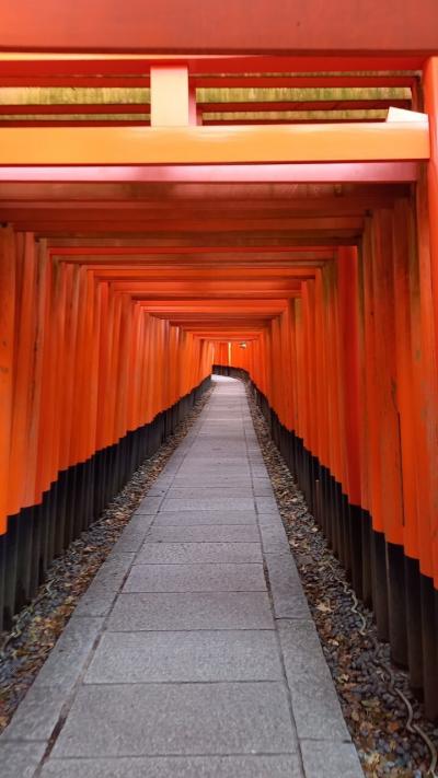 ★2022年3月★久しぶりの京都旅行その１