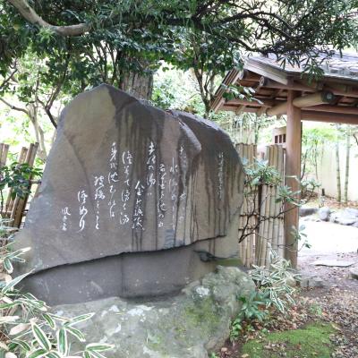 坂聖・玉樟園の朝食と周辺散策