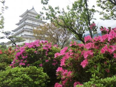 雲仙温泉青雲荘に5連泊