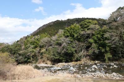 伊豆湯ヶ島温泉　優雅な春旅♪　Vol.16 ☆昭和のロマン「湯道」♪