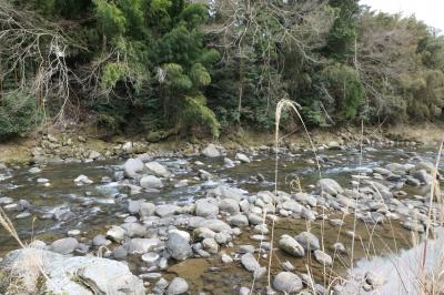 伊豆湯ヶ島温泉　優雅な春旅♪　Vol.17 ☆昭和のロマン「湯道」♪
