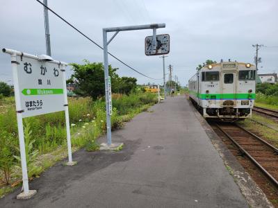 今のうちに、日高本線に乗っておく