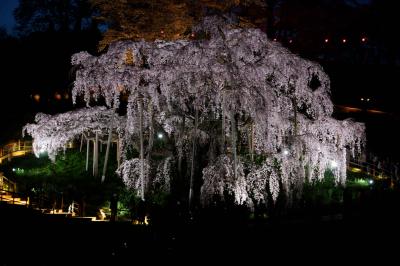 福島桜巡り　その３