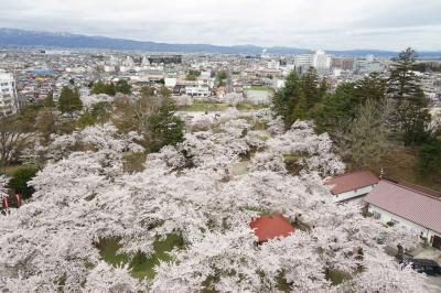 福島桜巡り　その５