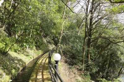 伊豆湯ヶ島温泉　優雅な春旅♪　Vol.24 ☆昭和のロマン「湯道」♪