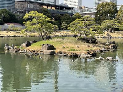 50代からの働き方を考えるついでに旧芝離宮恩賜庭園を散歩してみる