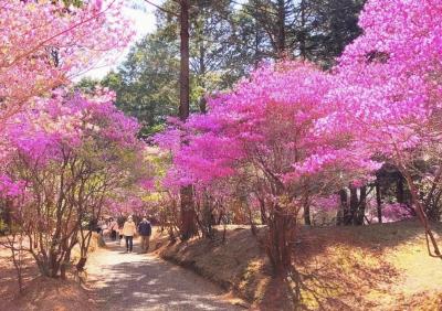 伊奈冨神社