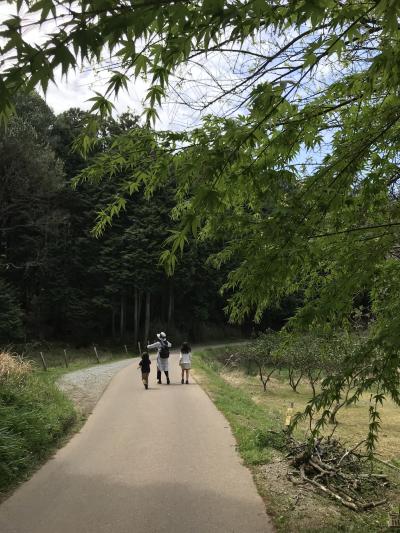 孫たちと春の『山の辺の道』を散策♪