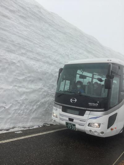 高遠桜、善光寺御開帳、立山黒部アルペンルート「雪の大谷」3日間