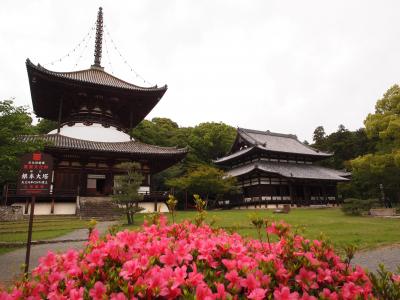 春の紀州　西国札所巡りと高野山　ひとり旅【１】根来寺と西国札所第三番・粉河寺