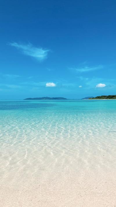 3年ぶりの旅行!石垣島へ!!