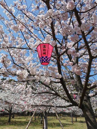 18きっぷで徳島へ　高松城跡でお花見も