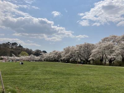 2022年、東北の春　盛岡公園と北上展勝地