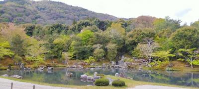 京都と高野山への旅　1