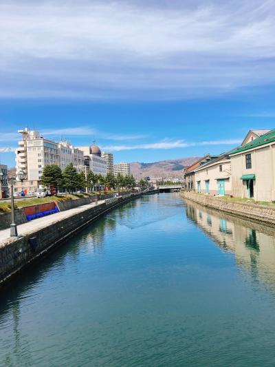 JALどこかにマイルで行く、春の札幌・小樽旅行 2泊3日