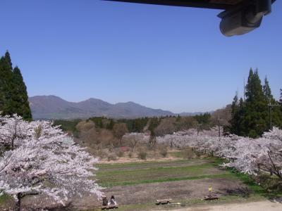 ２０２２春旅☆茅部神社の桜と、蒜山高原へ