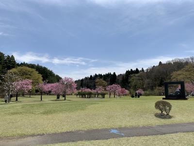 桜咲く日本国花苑に行く