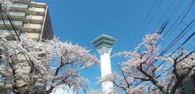 桜咲く函館二泊三日の旅その1