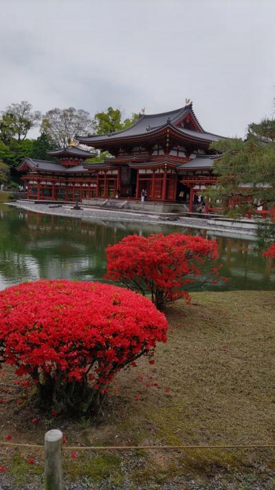 お墓参りに京都へ、宇治も観光する旅