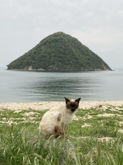 あっちこっち瀬戸内　５泊６日の旅⑤-2　　☆土曜日だけの「猫島から猫島航路」で佐柳島へ☆