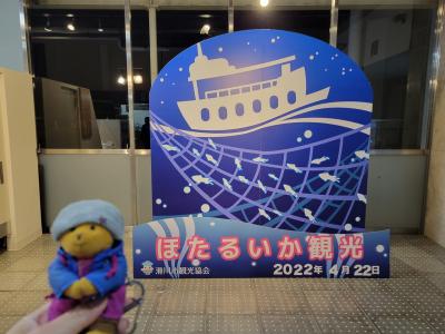 春の富山を巡る旅③～ほたるいか海上観光へ～