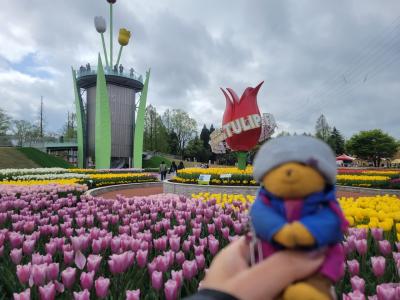 春の富山を巡る旅④～念願の”チューリップフェア”へ～