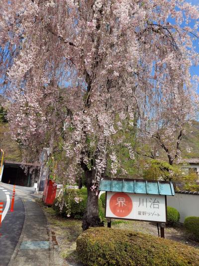 1度は泊まりたい星野リゾート！川治温泉『界』に行ってきました！