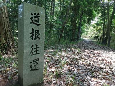 古道「道根往還」をゆく…いにしえを偲ぶ歴史探訪ウォーキング