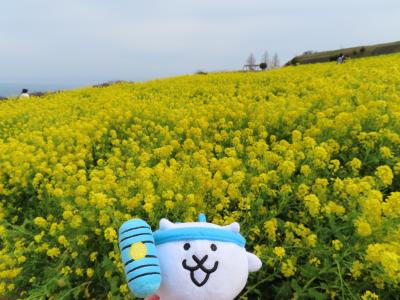 【2022.3】淡路島に行ってきたにゃ！（明石海峡公園、あわじ花さじき、八浄寺、たこせんべいの里）