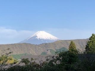 春の箱根散策